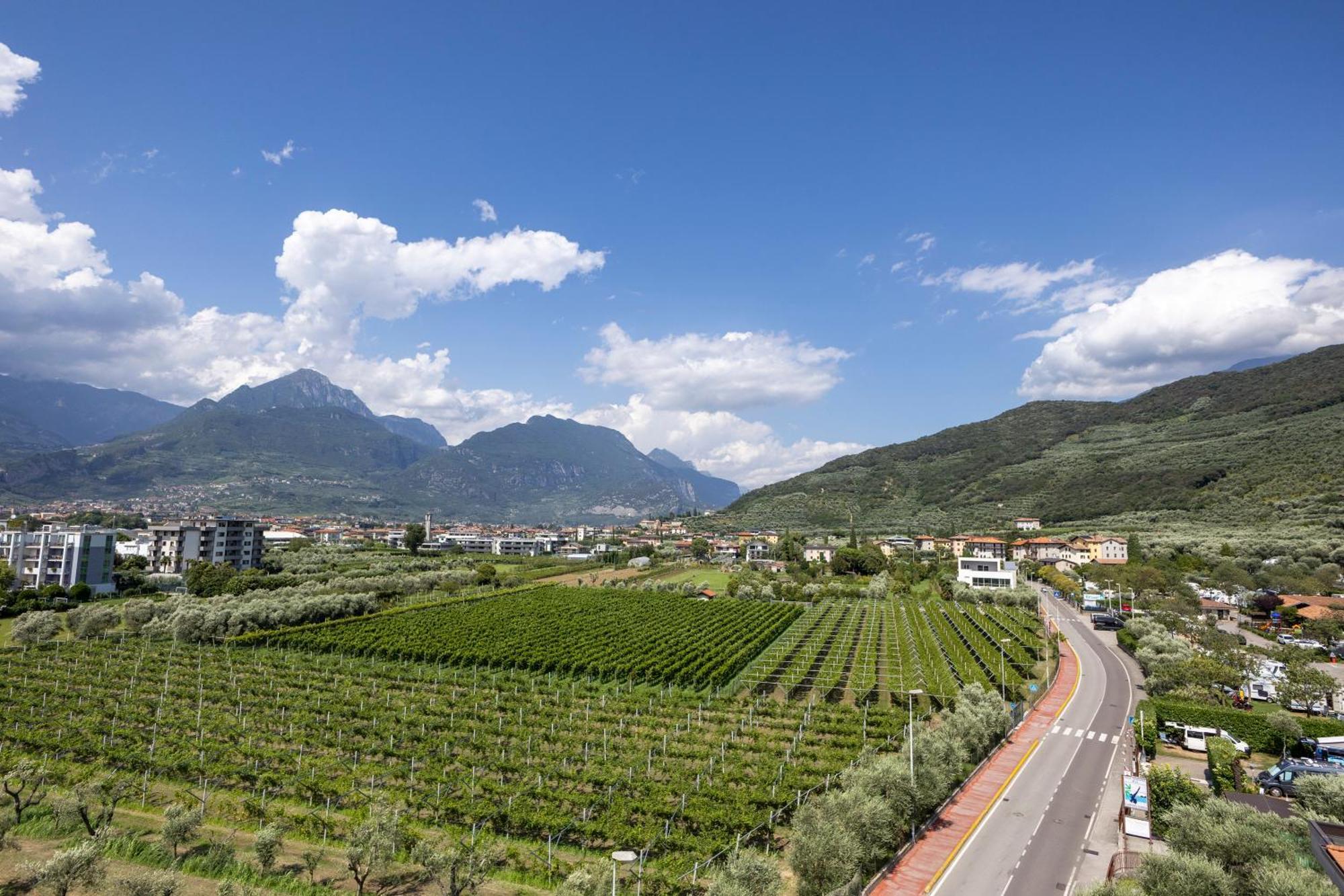 Il Piccolo Nido - Happy Rentals Riva del Garda Eksteriør bilde